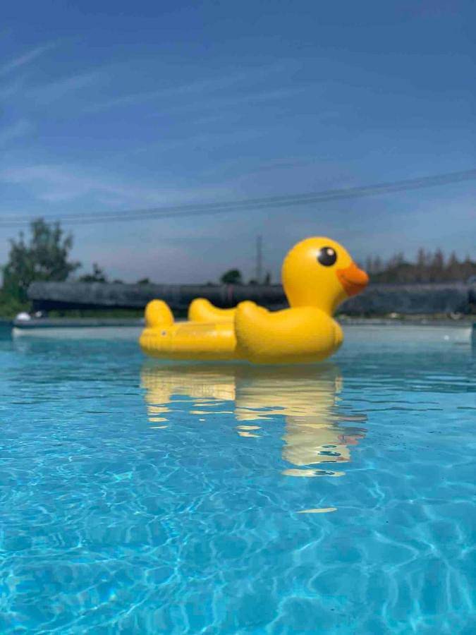 Location de vacances pour 2 personnes, avec piscine et jardin à Hamoir - 3