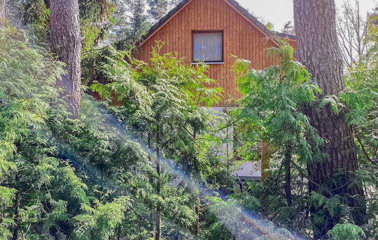 Ferienwohnung für 2 Personen, mit Haustier in Dierhagen - 2