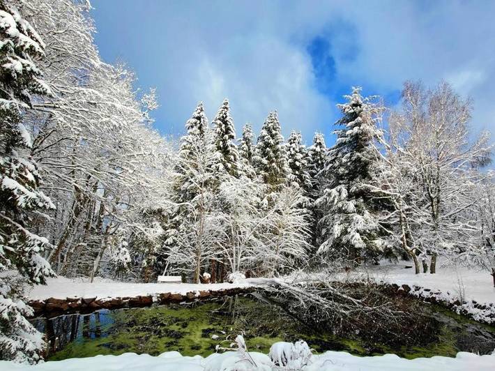 Gîte pour 2 personnes, avec terrasse et jacuzzi dans Temple du Donon - 3