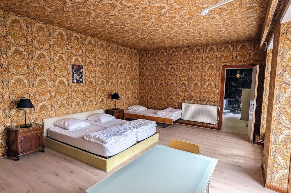 Grande Villa Para Familias Y Grupos Piscina Cubierta Con Calefacción in Diemeringen, Alsacia del Norte