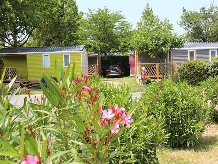 Camping La Sorguette - Mobile home 4 persons - Rosemary in L'Isle-sur-la-Sorgue, Vaucluse