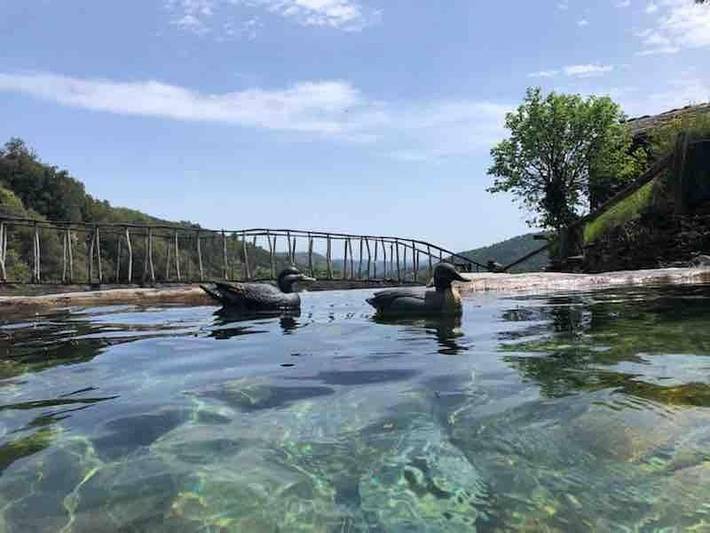 Location de vacances pour 2 personnes, avec vue et jardin à Saint-Germain-de-Calberte