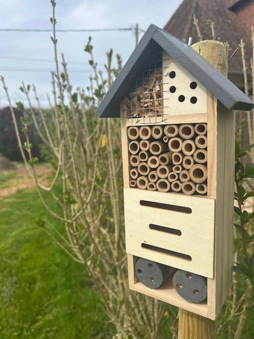 Location de vacances pour 6 personnes, avec jardin et terrasse à Saint-Sauveur-d'Émalleville - 3