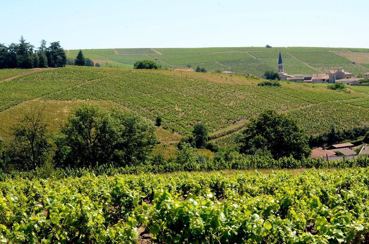 Charme des Bruyères in Lantignié, Beaujolais