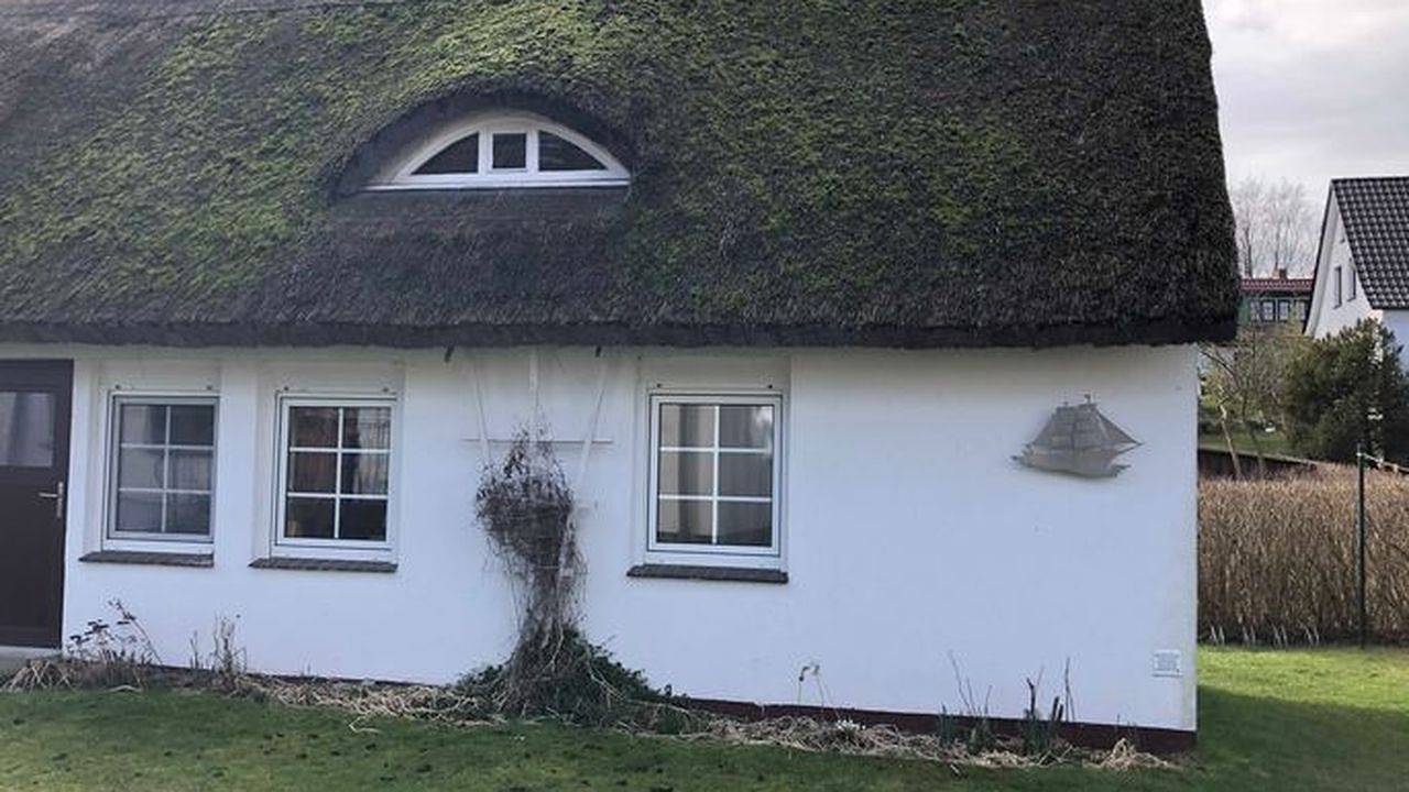 Ferienhaus für 4 Personen (60 m²) in Insel Hiddensee in Kloster, Hiddensee