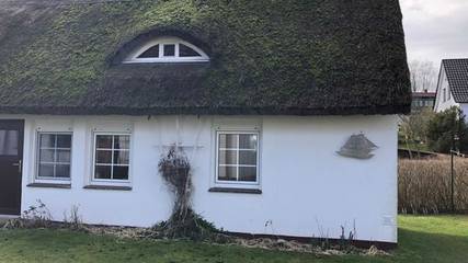 Ferienhaus für 4 Personen in Kloster, Hiddensee, Bild 3