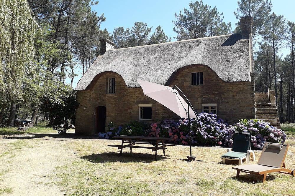 Seasonal rental of a Breton cottage in the heart of the forest in Theix, Côte des Mégalithes