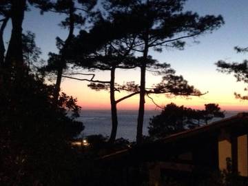 Gîte pour 2 personnes, avec vue ainsi que vue sur le lac et jardin, animaux acceptés dans Pyla Plage