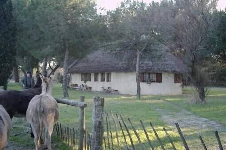 Maison de vacances pour 6 personnes, avec jardin et terrasse, animaux acceptés - 1