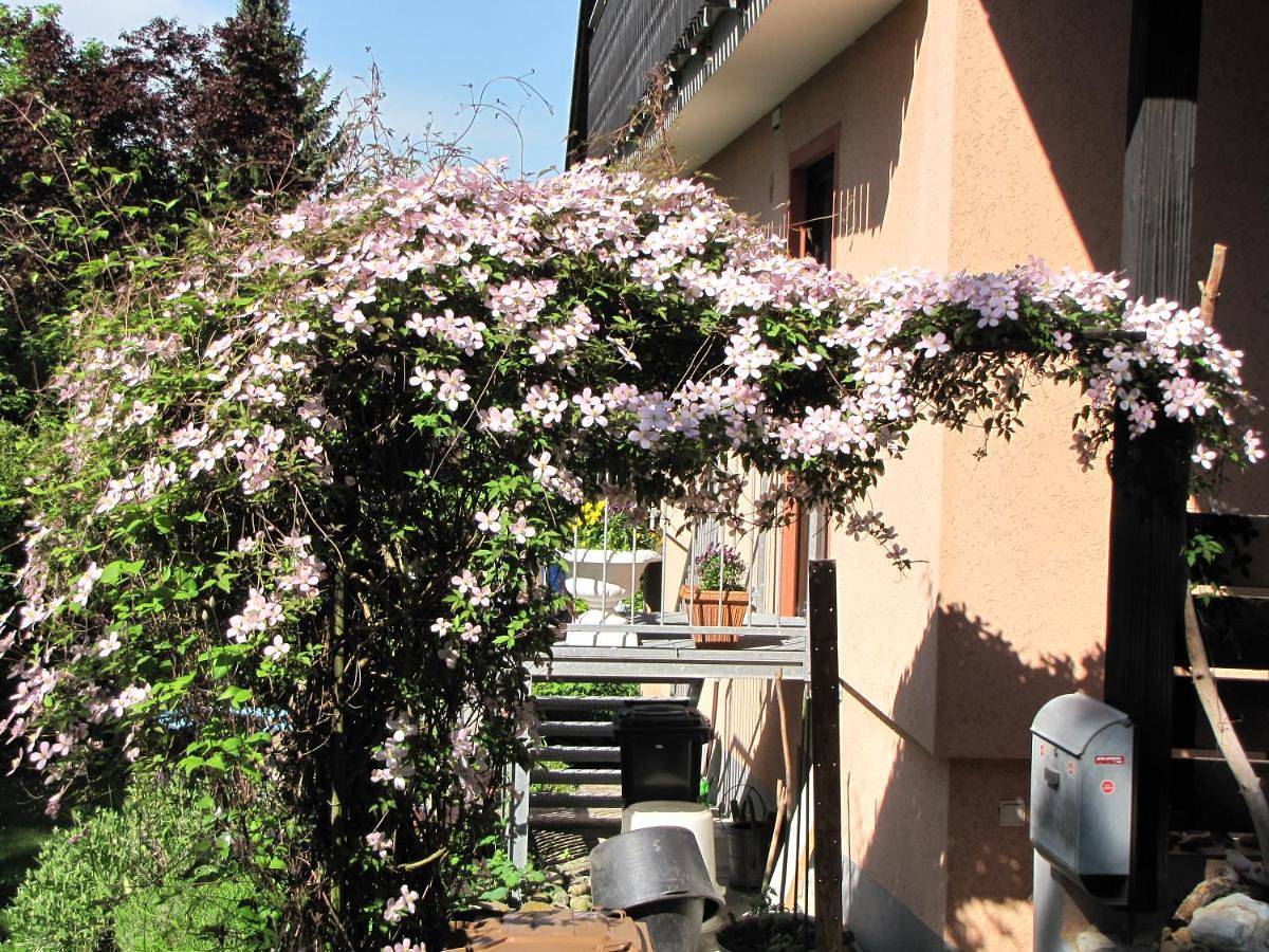 Ganze Wohnung, Bellairis in Igersheim, Stuttgart Region