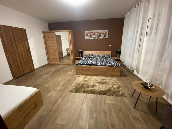 Gîte pour 4 personnes, avec vue et jardin à Plzeň - 4