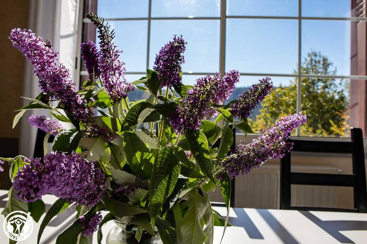 Gîte pour 6 personnes, avec jardin à Chambon-sur-Lac - 4