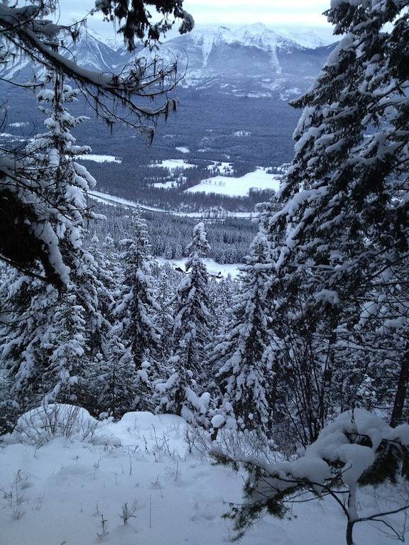 Luxuriöse Blockhütte mit 2 Schlafzimmern in Golden - Canada Select 4 Approved in Kicking Horse