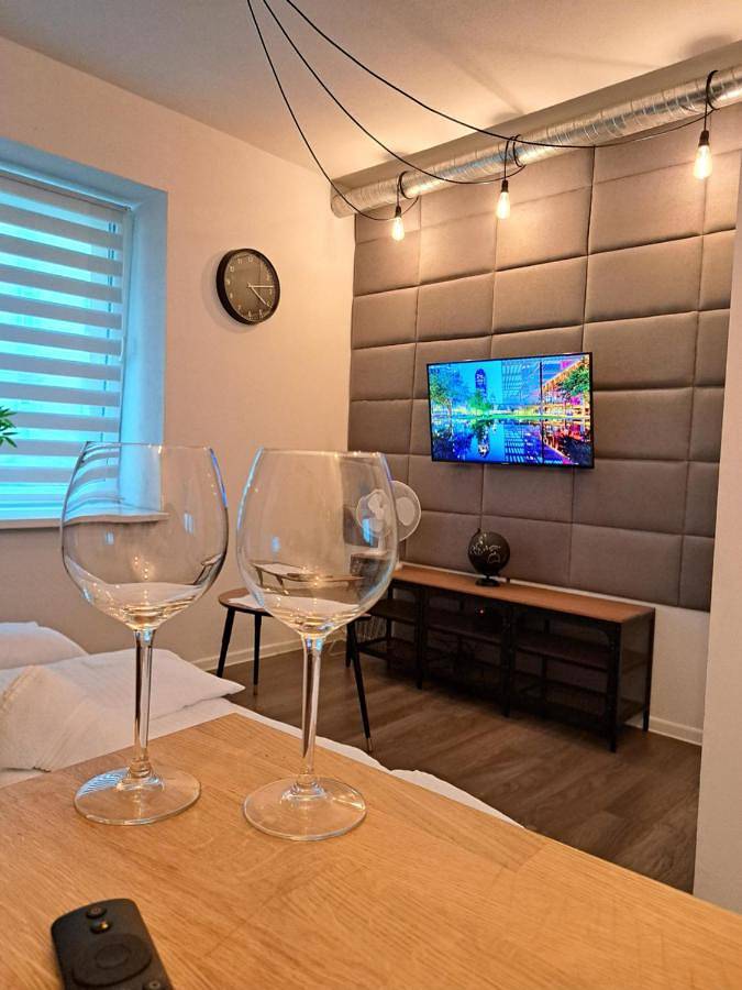 Cały apartament, Apartamenty Lena 1 in Racibórz, Śląsk