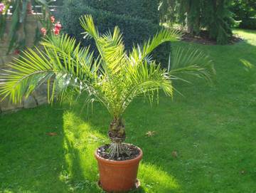 Ferienwohnung für 2 Personen in Merseburg, Saalekreis, Bild 4