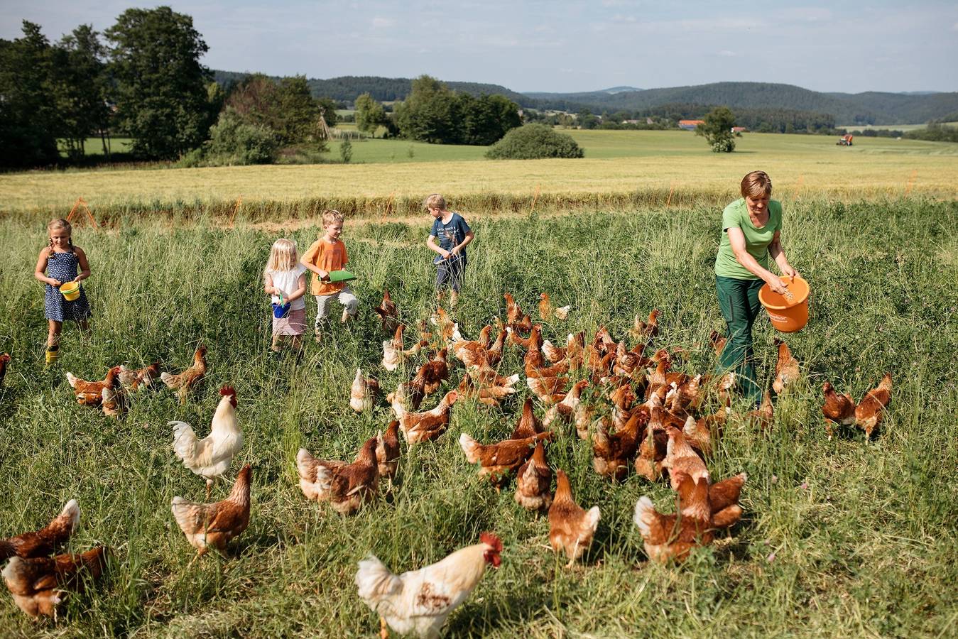 Ganze Wohnung, Das Landhaus - "Das Landhaus" mit kostenfreiem Wlan in Mainleus, Oberes Maintal - Coburger Land