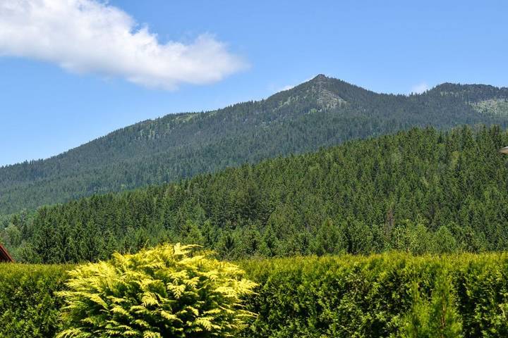 Ferienhaus für 4 Personen, mit Terrasse, mit Haustier im Bayerischer Wald - 4