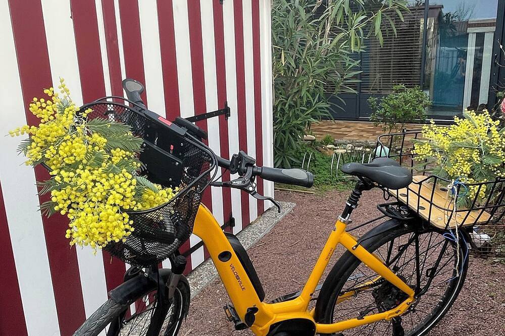 Les Mimosas in Saint-Trojan-les-Bains, Côte de Beauté