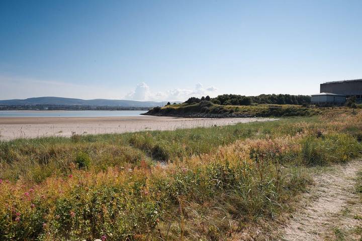 Location de vacances pour 4 personnes, avec jardin et terrasse à Dublin - 2