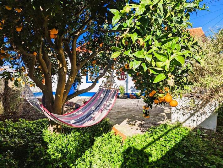 Casa de férias para 8 pessoas, com vista e jardim, com animais de estimação - 1