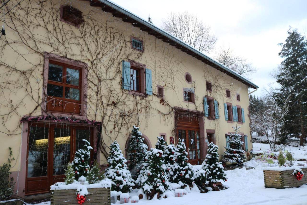 Double Room in Taintrux, Saint-Dié-des-Vosges