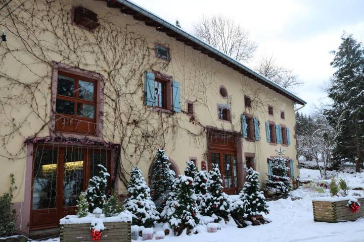 Hôtel pour 2 personnes, avec jardin et terrasse, animaux acceptés à Taintrux - 2