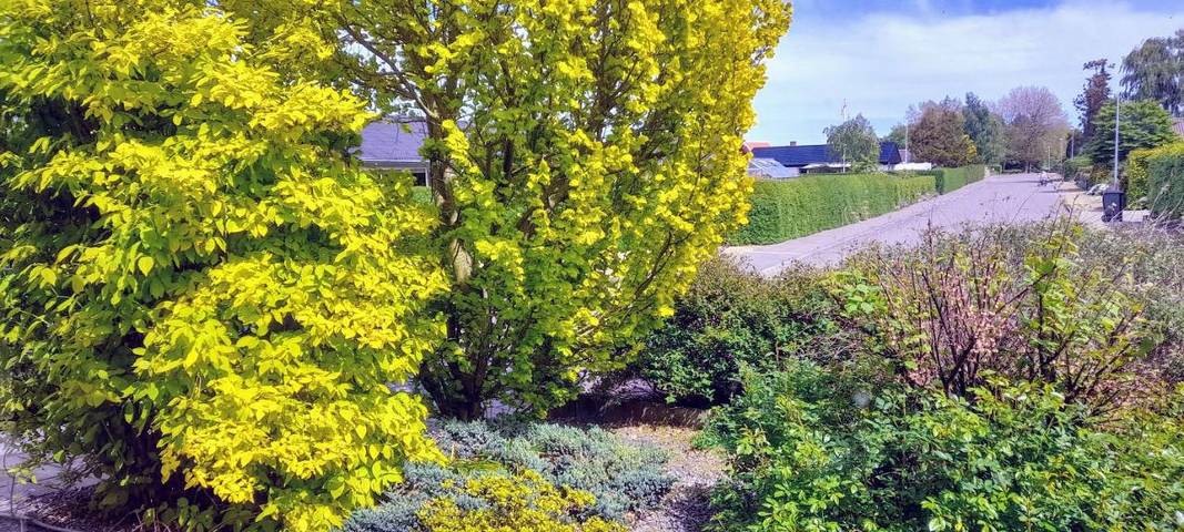 Appartement de vacances pour 2 personnes, avec jardin, animaux acceptés