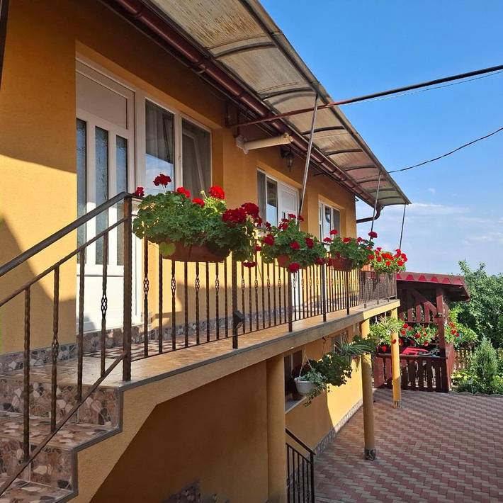 Gîte pour 3 personnes, avec vue et jardin, adapté aux familles dans Cluj-Napoca - 3