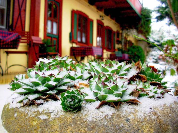 Gîte pour 2 personnes, avec jardin à Eger - 3