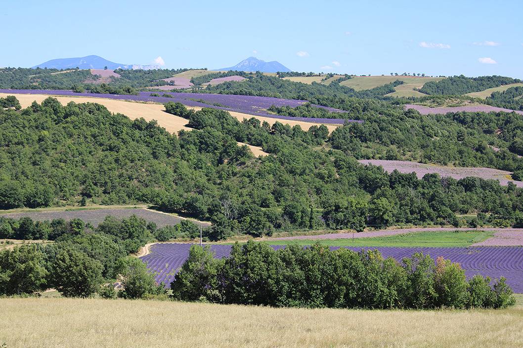 Les Trèmes in Puimichel, Alpes-de-Haute-Provence