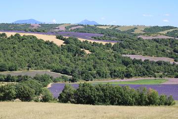 Cottage voor 5 Personen in Puimichel, Provence, Afbeelding 1