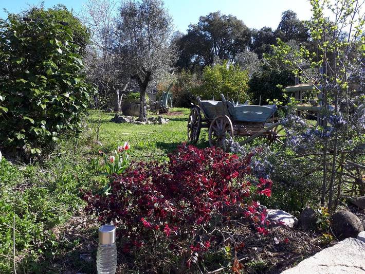 Chalet pour 2 personnes, avec terrasse ainsi que vue et jardin en Corse - 2