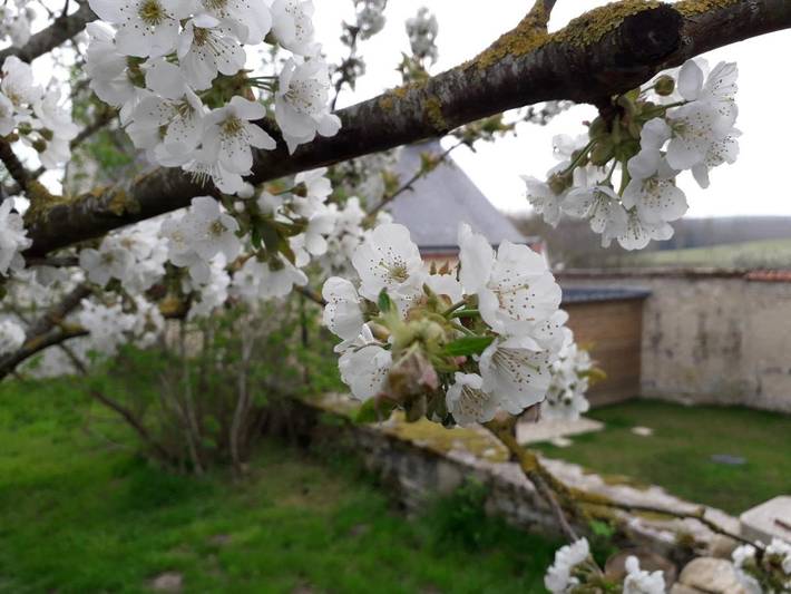 Chambre d’hôte pour 4 personnes, avec Terrasse ainsi que Jardin et Vue dans l' Aisne - 3