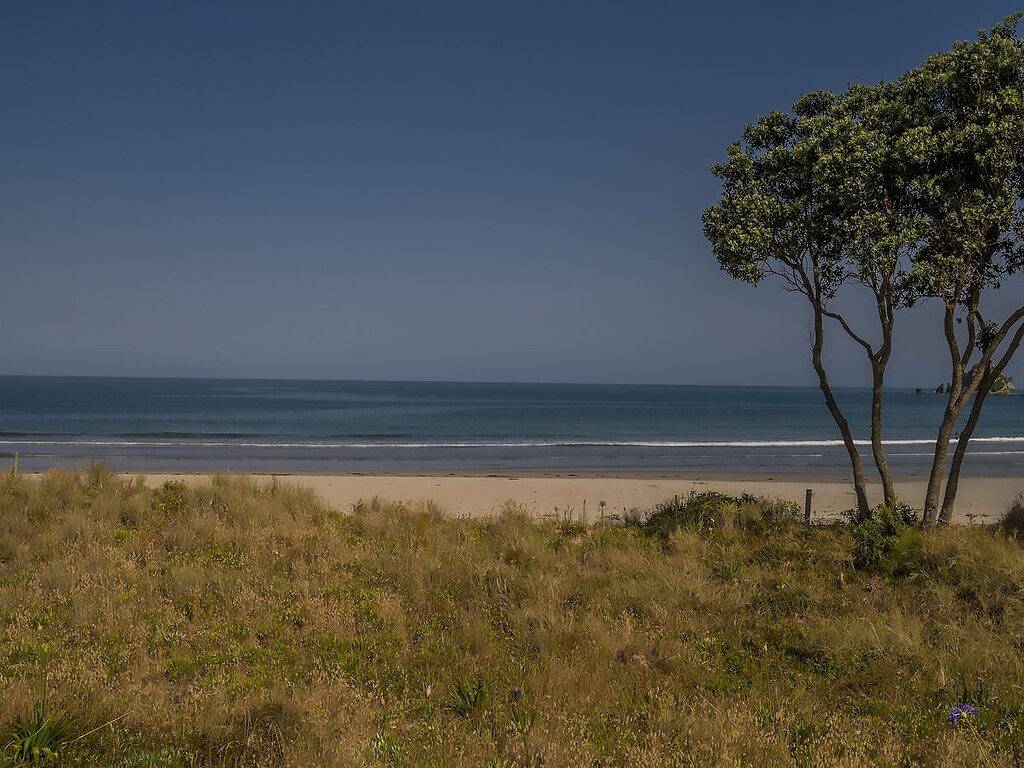 Schönheit am Strand - Whangamata in Whangamata, Waikato