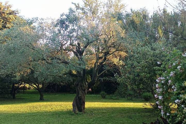 Vacation rental with swimming pool in the heart of Provence in Sarrians, Vaucluse
