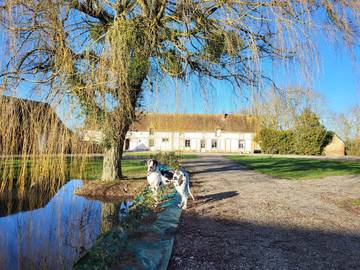 Chambre d’hôte pour 2 personnes, avec jardin et vue sur le lac ainsi que sauna et vue, animaux acceptés dans l' Eure