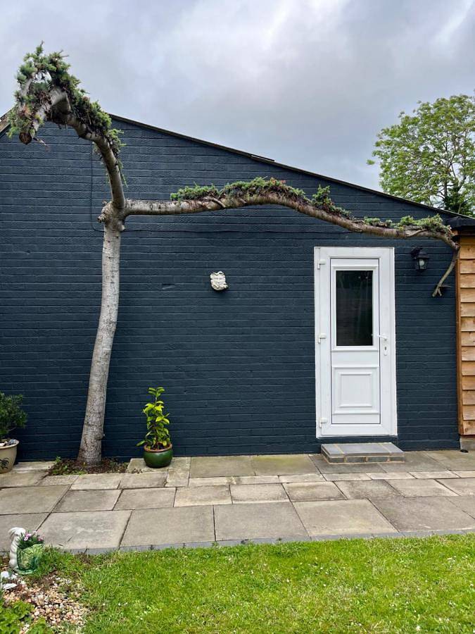 Maison d’hôte pour 2 personnes, avec terrasse et jardin dans Canterbury - 3