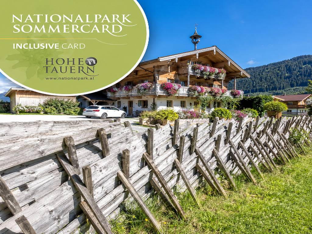 Ganze Ferienwohnung, Appartement Wildkogelblick in Bramberg am Wildkogel, Pinzgau