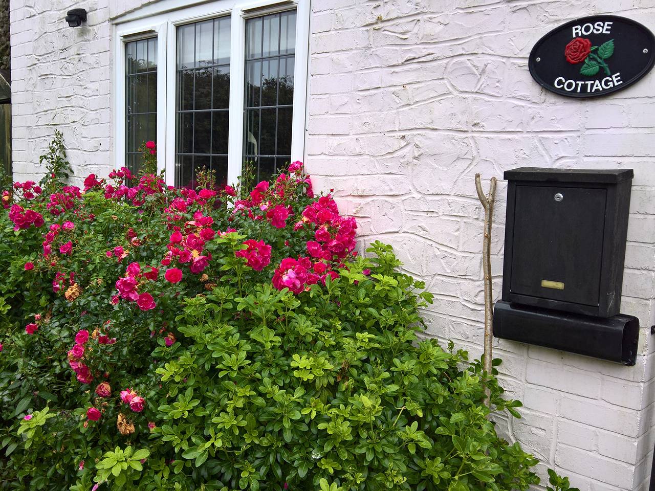 Rose Cottage in Tatworth & Forton, Somerset