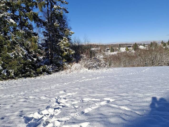 Ferienwohnung für 2 Personen, mit Seeblick und Garten sowie Ausblick, mit Haustier im Weserbergland - 4