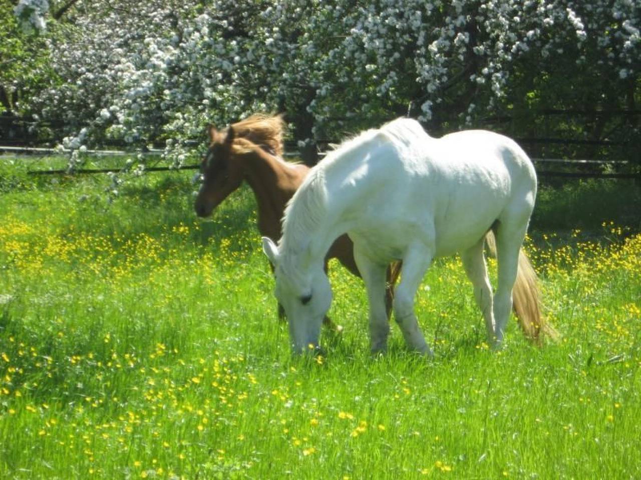Mit Terrasse und Parkplatz in Weikersheim, Taubertal