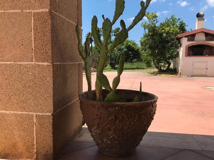Appartamento per 3 persone, con giardino, con animali domestici in Padula Bianca