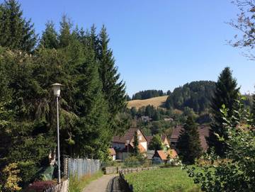 Ferienpark für 4 Personen in Altenau, Harz, Bild 3