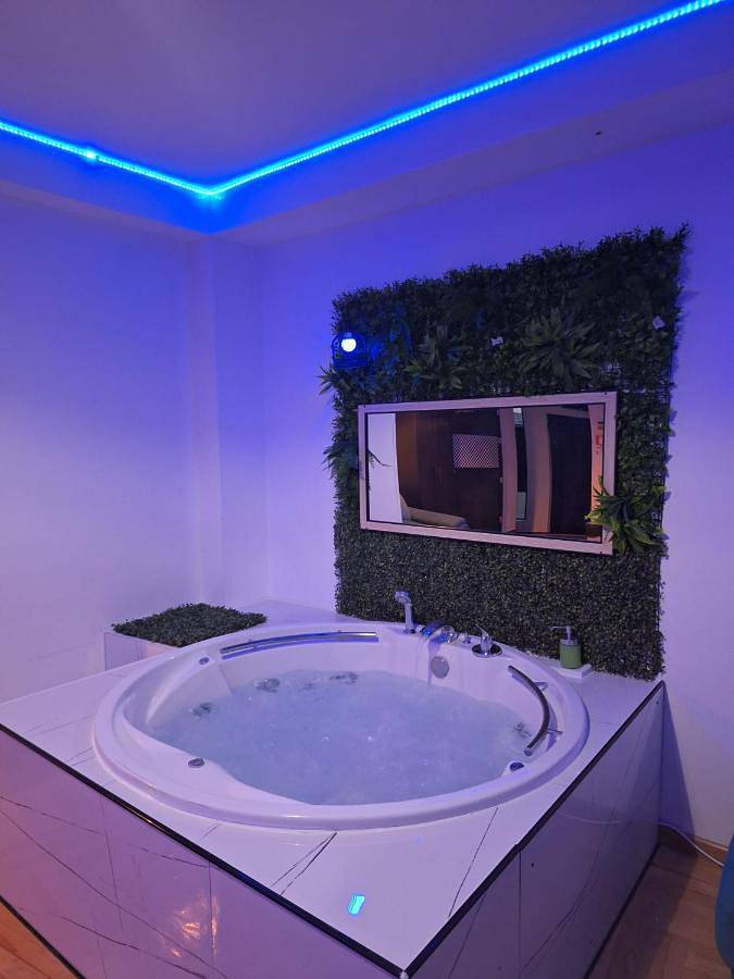 Maison d’hôte pour 4 personnes, avec jardin à Bucarest - 3