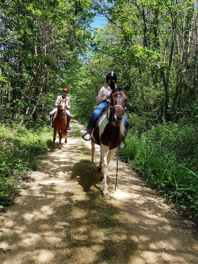 Location de vacances pour 4 personnes, avec piscine et vue ainsi que vue sur le lac et jardin à Capdrot - 3