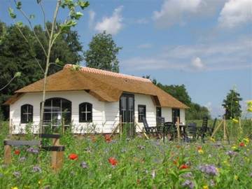 Bauernhof für 4 Personen, mit Garten und Terrasse in Südholland