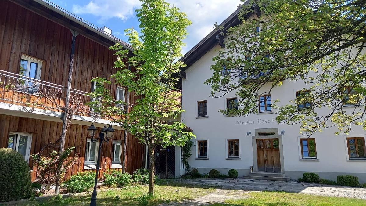 Frongahof - Lavendel in Waldkirchen, Ostbayern