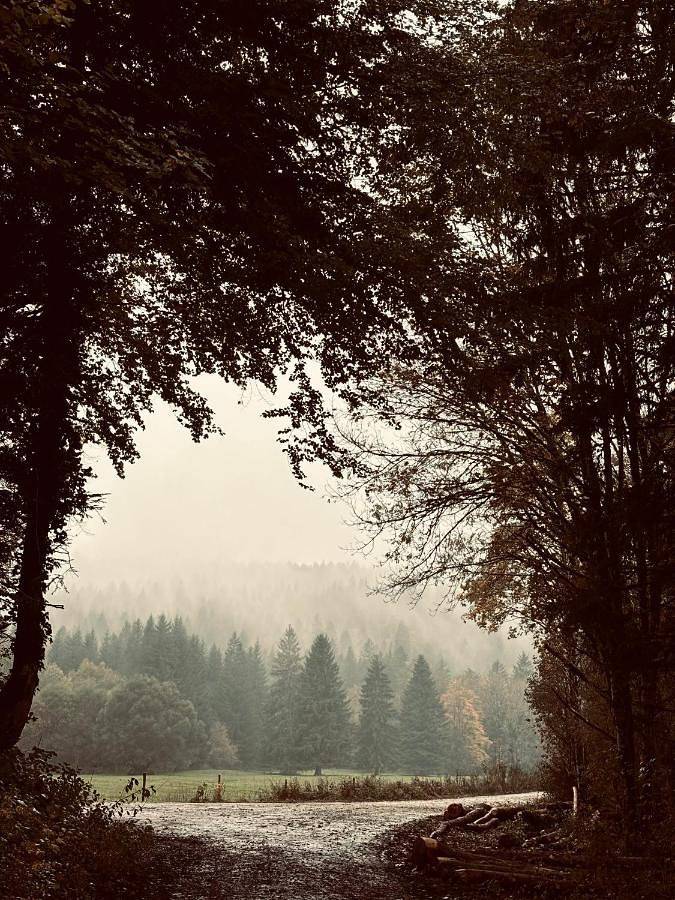 Gîte pour 6 personnes, avec terrasse, animaux acceptés à Champagnole - 3