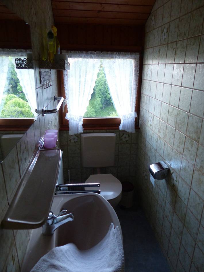 Ganze Ferienwohnung, Ferienhaus Rombach Wohnung A in Wieden, Südschwarzwald
