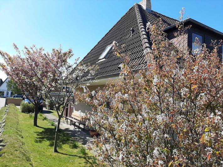 Ganze Wohnung, Haus Zephir 1-Zimmerwohnung Nr. 1 unten in Westerland, Sylt (Gemeinde)